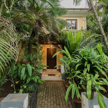 The Bumblebee- Serene 3Bhk Villa- Candolim, Goa By Staymonkey-2